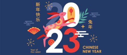 Chinese New Year holiday banner design