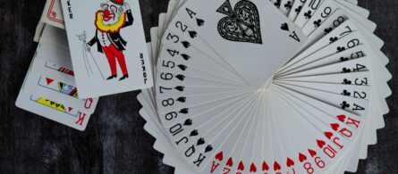 Invalidation de la marque "MECHELEN"